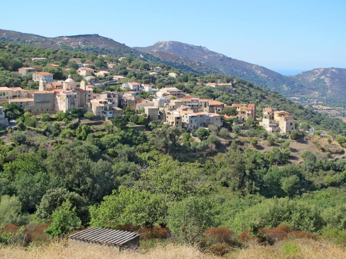 Apartment Thalassa - Cal200 By Interhome Corsica Island Eksteriør bilde