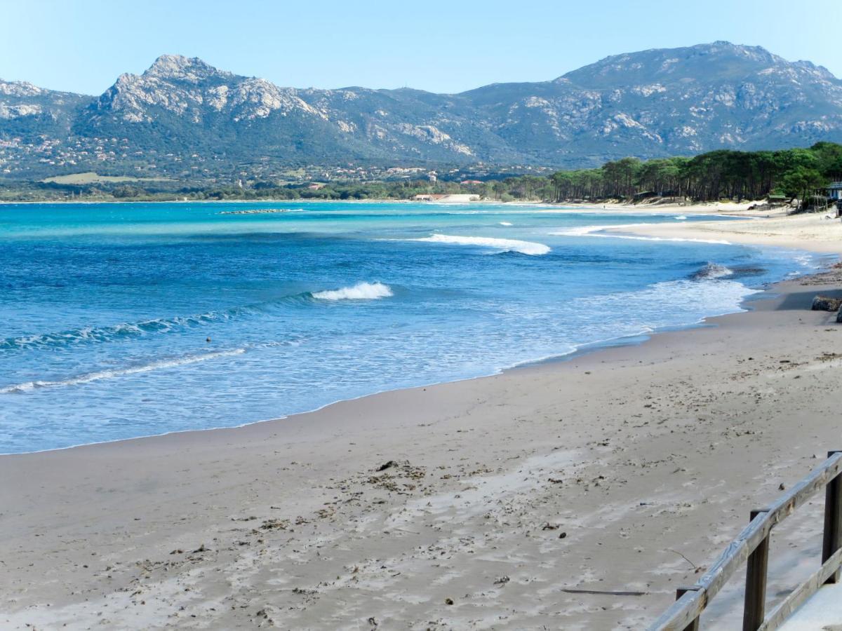 Apartment Thalassa - Cal200 By Interhome Corsica Island Eksteriør bilde